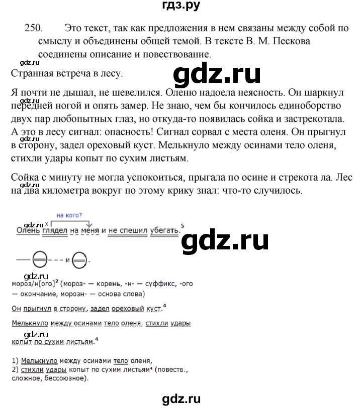 ГДЗ по русскому языку за 5 класс Ладыженская, Баранов, Тростенцова ответ на номер 250, Решебник 2021
