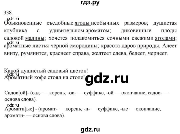 ГДЗ по русскому языку за 5 класс Ладыженская, Баранов, Тростенцова ответ на номер 338, Решебник 2021