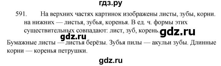 ГДЗ по русскому языку за 5 класс Ладыженская, Баранов, Тростенцова ответ на номер 591, Решебник 2021