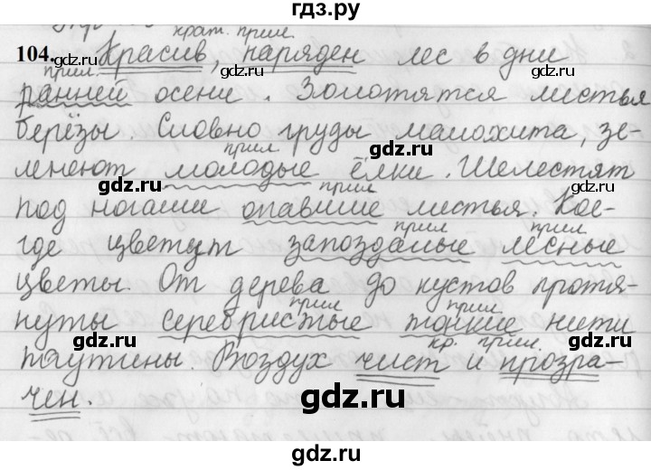 ГДЗ по русскому языку за 5 класс Ладыженская, Баранов, Тростенцова ответ на номер 104, Решебник №1 2019