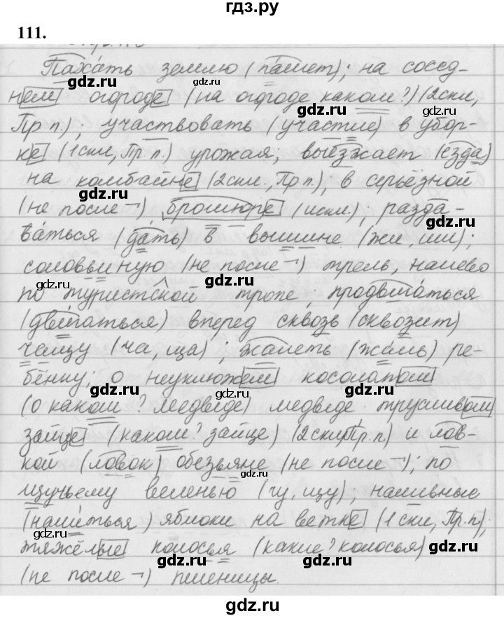 ГДЗ по русскому языку за 5 класс Ладыженская, Баранов, Тростенцова ответ на номер 111, Решебник №1 2019