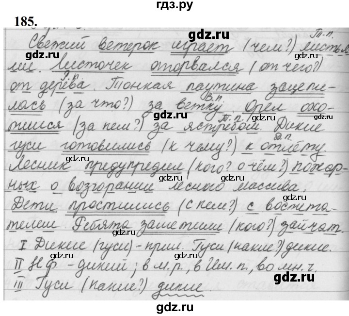ГДЗ по русскому языку за 5 класс Ладыженская, Баранов, Тростенцова ответ на номер 185, Решебник №1 2019