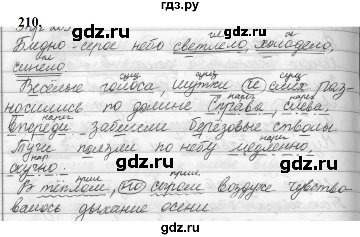 ГДЗ по русскому языку за 5 класс Ладыженская, Баранов, Тростенцова ответ на номер 210, Решебник №1 2019