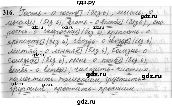 ГДЗ по русскому языку за 5 класс Ладыженская, Баранов, Тростенцова ответ на номер 316, Решебник №1 2019