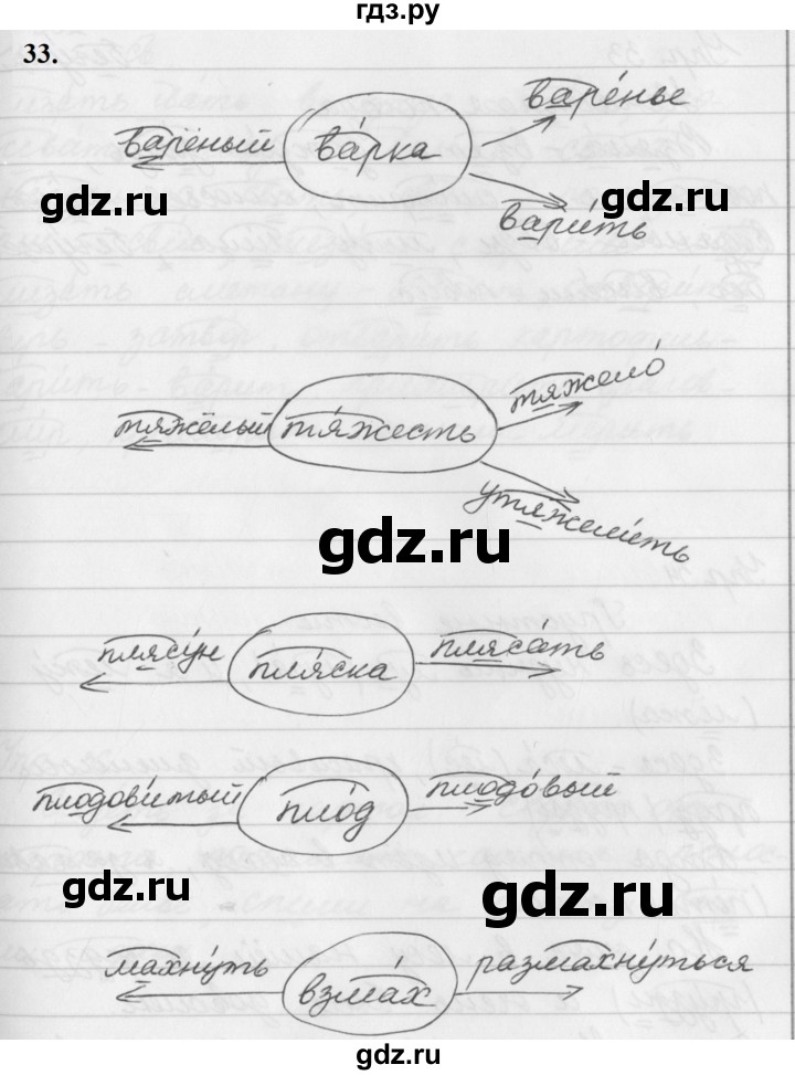ГДЗ по русскому языку за 5 класс Ладыженская, Баранов, Тростенцова ответ на номер 33, Решебник №1 2019