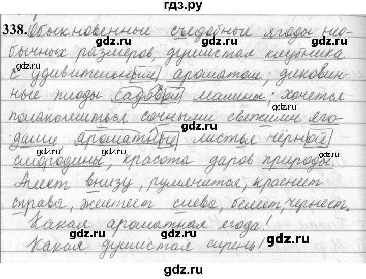 ГДЗ по русскому языку за 5 класс Ладыженская, Баранов, Тростенцова ответ на номер 338, Решебник №1 2019