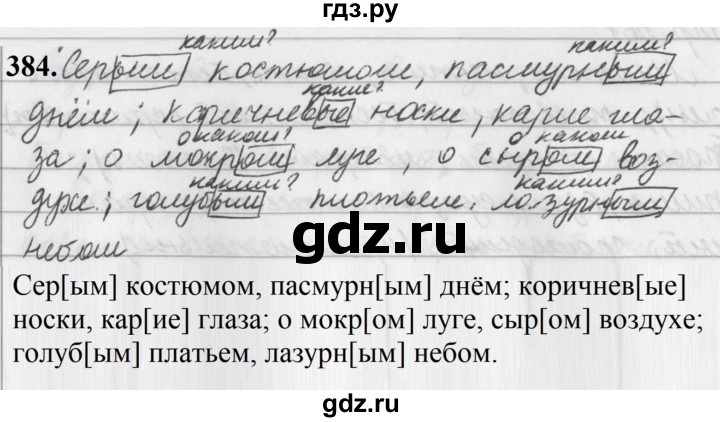 ГДЗ по русскому языку за 5 класс Ладыженская, Баранов, Тростенцова ответ на номер 384, Решебник №1 2019
