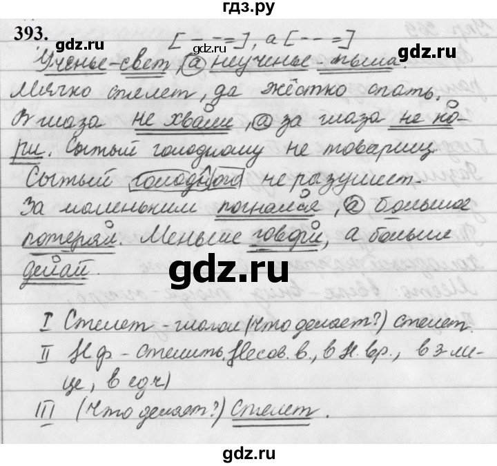 ГДЗ по русскому языку за 5 класс Ладыженская, Баранов, Тростенцова ответ на номер 393, Решебник №1 2019