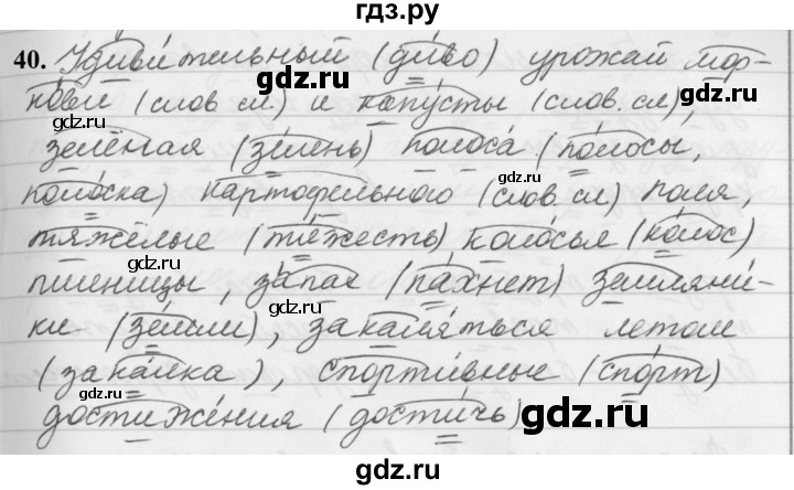 ГДЗ по русскому языку за 5 класс Ладыженская, Баранов, Тростенцова ответ на номер 40, Решебник №1 2019