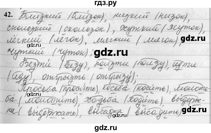 ГДЗ по русскому языку за 5 класс Ладыженская, Баранов, Тростенцова ответ на номер 42, Решебник №1 2019