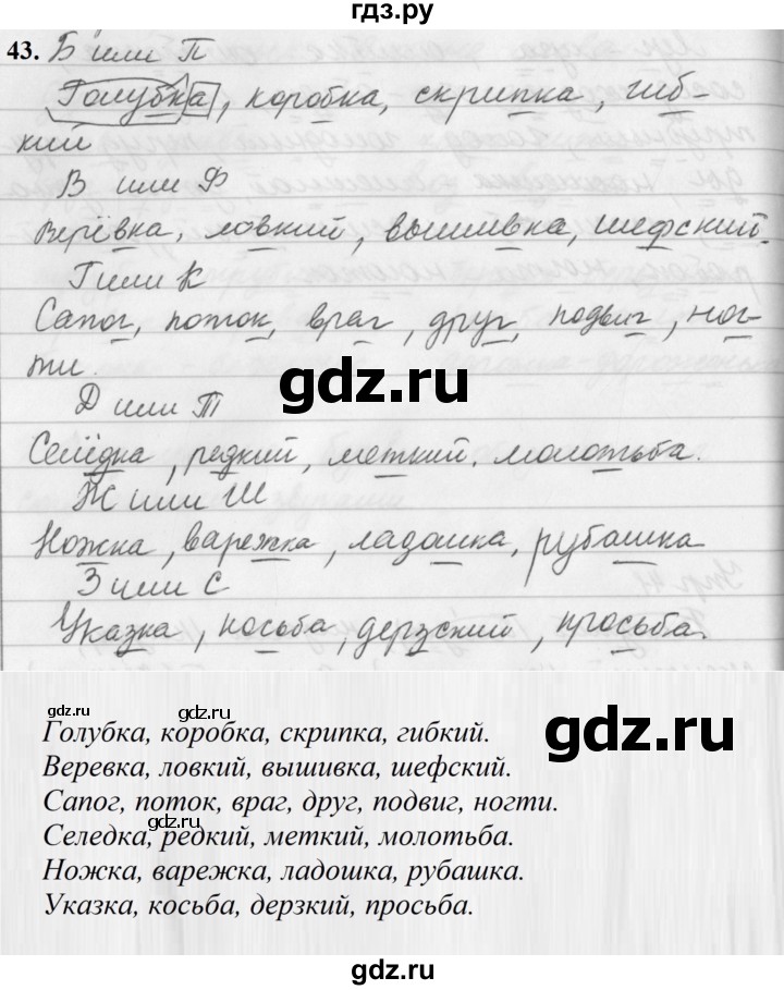 ГДЗ по русскому языку за 5 класс Ладыженская, Баранов, Тростенцова ответ на номер 43, Решебник №1 2019