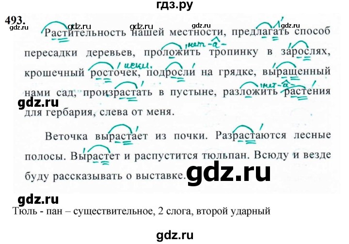 ГДЗ по русскому языку за 5 класс Ладыженская, Баранов, Тростенцова ответ на номер 494, Решебник №1 2019
