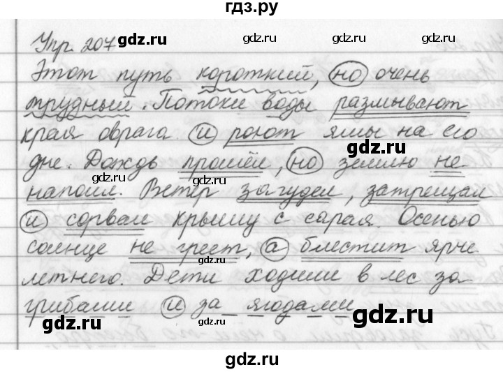 ГДЗ по русскому языку за 5 класс Ладыженская, Баранов, Тростенцова ответ на номер 207, Решебник 2016