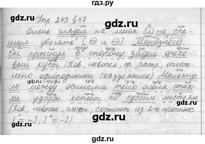 ГДЗ по русскому языку за 5 класс Ладыженская, Баранов, Тростенцова ответ на номер 243, Решебник 2016