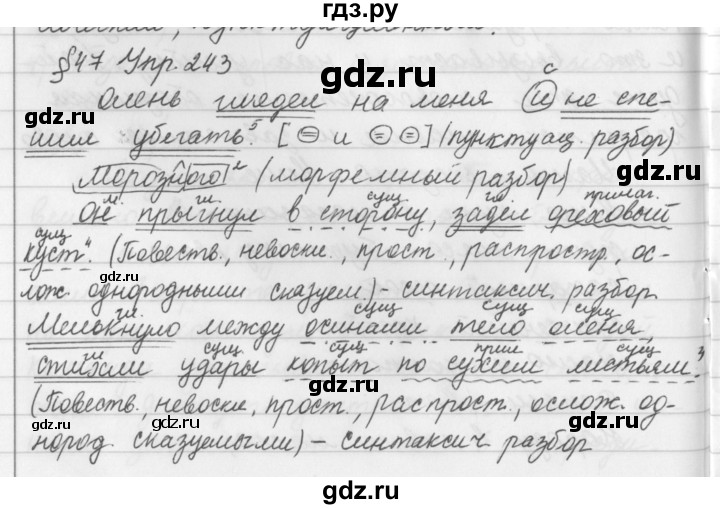 ГДЗ по русскому языку за 5 класс Ладыженская, Баранов, Тростенцова ответ на номер 243, Решебник 2016