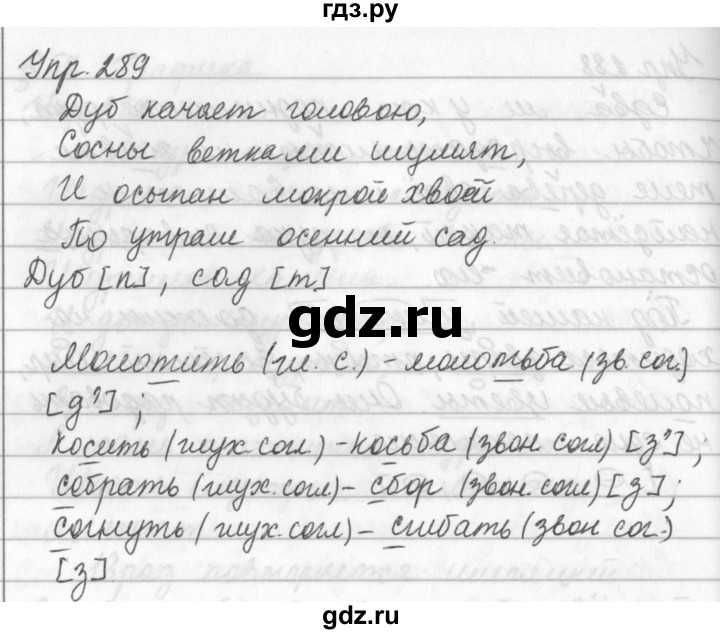 ГДЗ по русскому языку за 5 класс Ладыженская, Баранов, Тростенцова ответ на номер 289, Решебник 2016