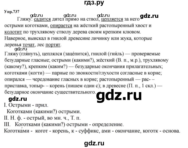 ГДЗ по русскому языку за 5 класс Ладыженская, Баранов, Тростенцова ответ на номер 737, Решебник 2023